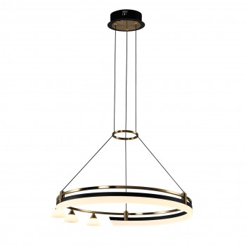 Robin Modern LED Avize 60 cm