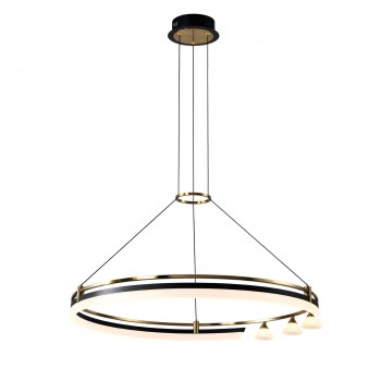 Robin Modern LED Avize 80 cm