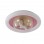 Unicorn Kids LED Ceiling Light Pink Dome